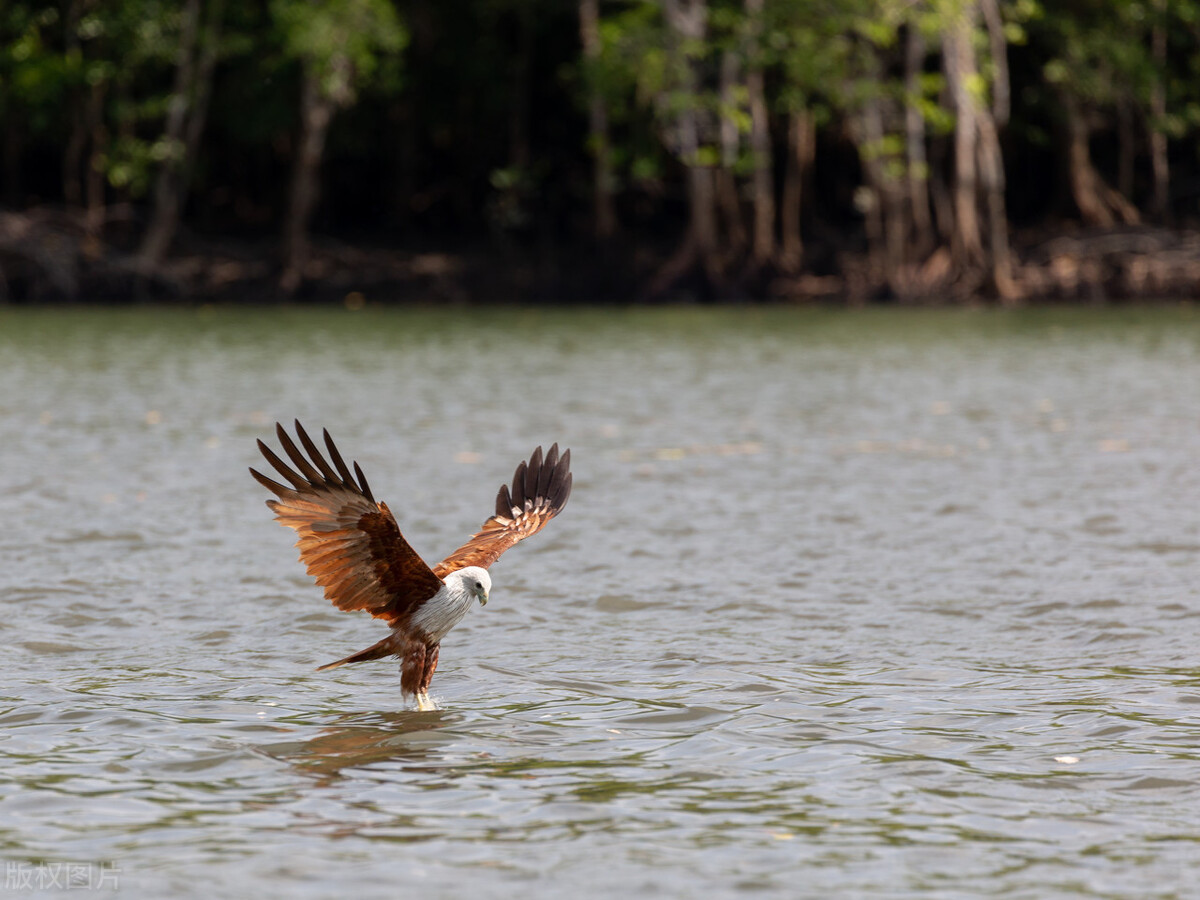马来西亚兰卡威真实游玩,马来西亚兰卡威自驾游难不难