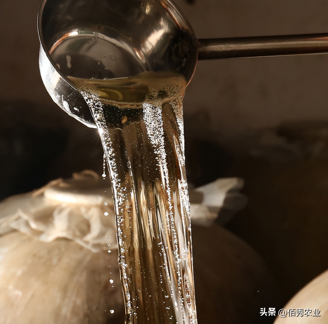 洋河酒天之蓝和梦之蓝哪个贵,洋河梦之蓝与同档次的酒对比