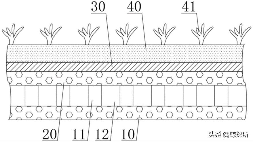 混合草坪养护措施,混合草坪施工