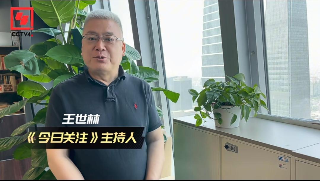 中央电视台主持人王世林简历,央视主持人王世林的简历