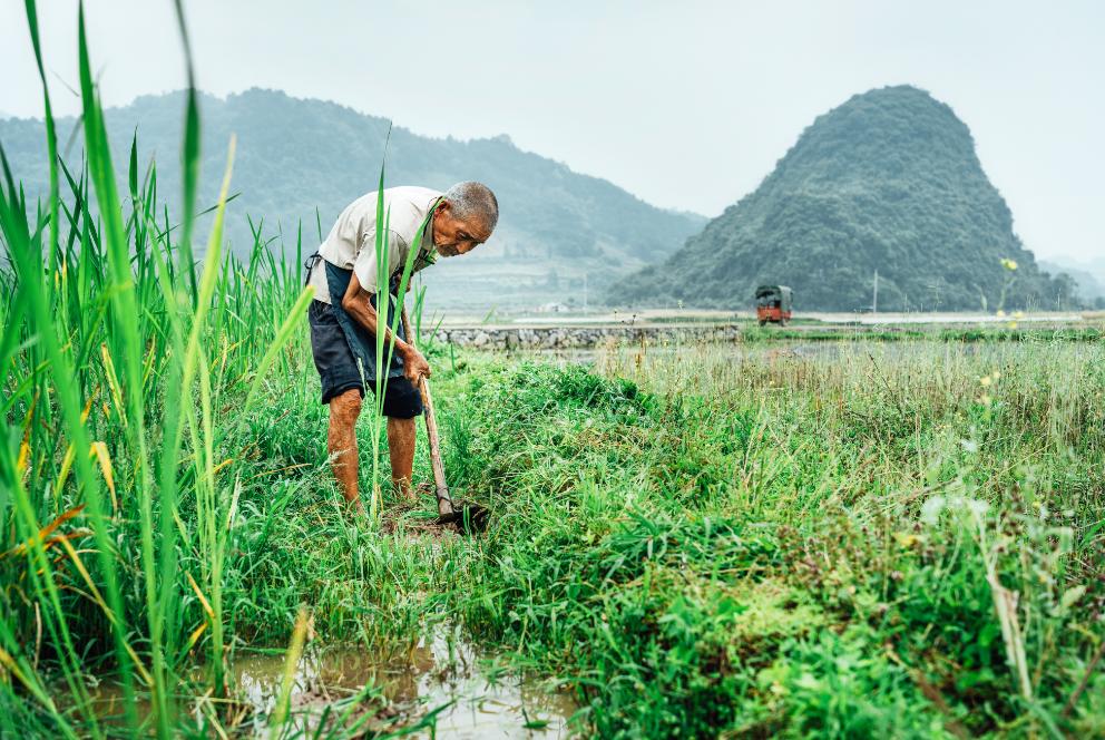 成本低利润高的创业项目,农村创业目前哪些项目比较好