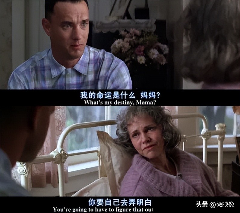 十部顶级9.5评分动作电影,推荐十部值得看的好看电影