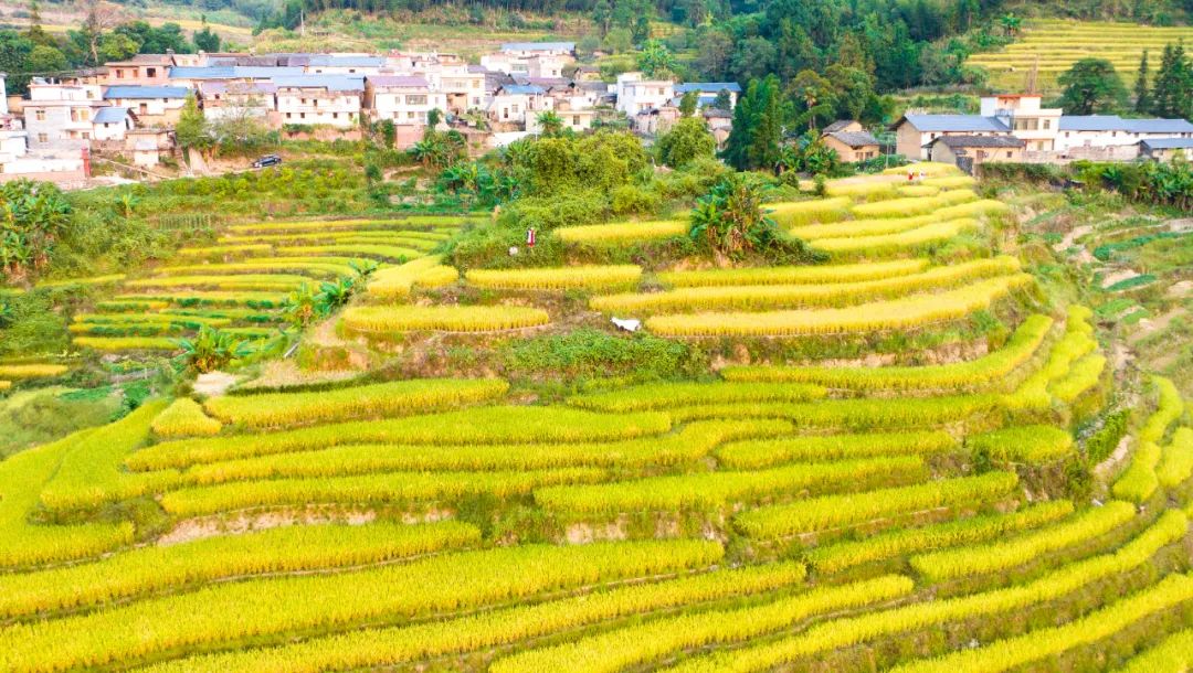 韶关秋天哪里有美景,韶关秋天美景