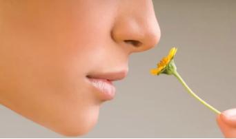 家里用的清新剂,怎么预防空气清新剂的污染