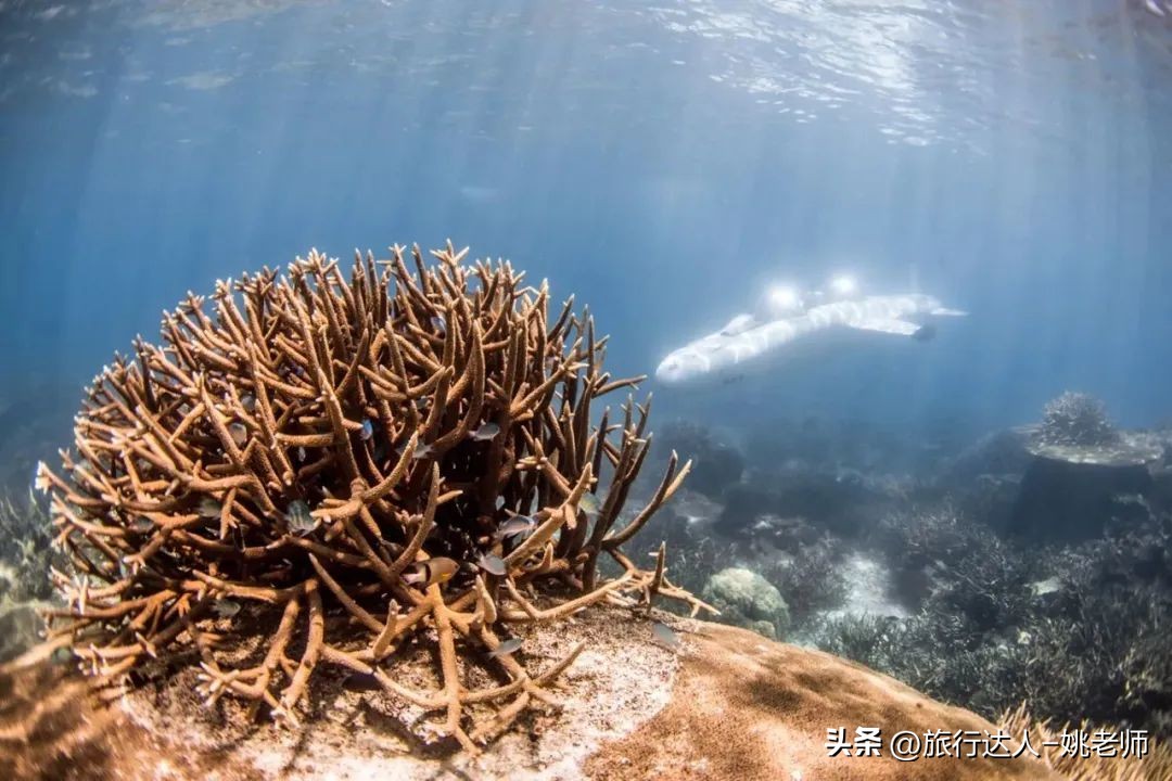 斐济私人度假岛屿预订,斐济豪华度假村