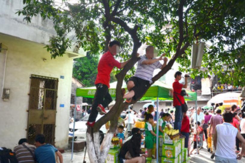 广东200万龙舟比赛,广东赛龙舟火遍全国