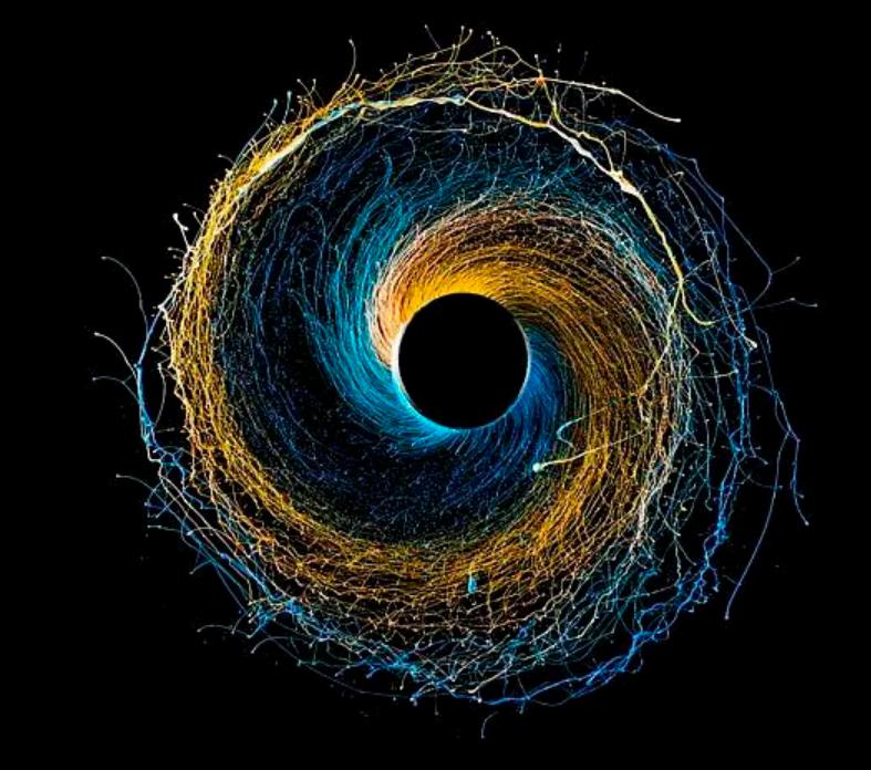 黑洞是如何形成的详细说明,黑洞是怎么形成的全过程讲解