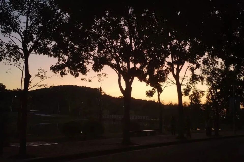 欢迎乘坐观光游览车,欢迎乘坐观光巴士语音