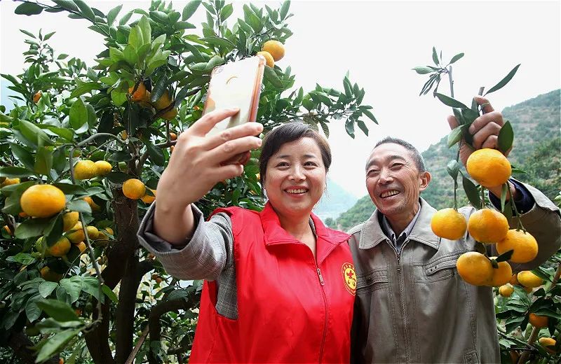 农技推广的短视频方案,短视频平台直播助农计划