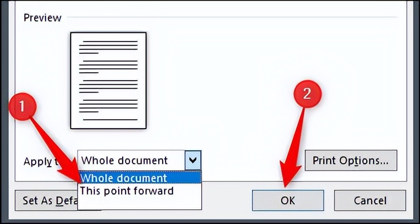 microsoftword怎么调整字体大小,Microsoftword怎么更改打印机