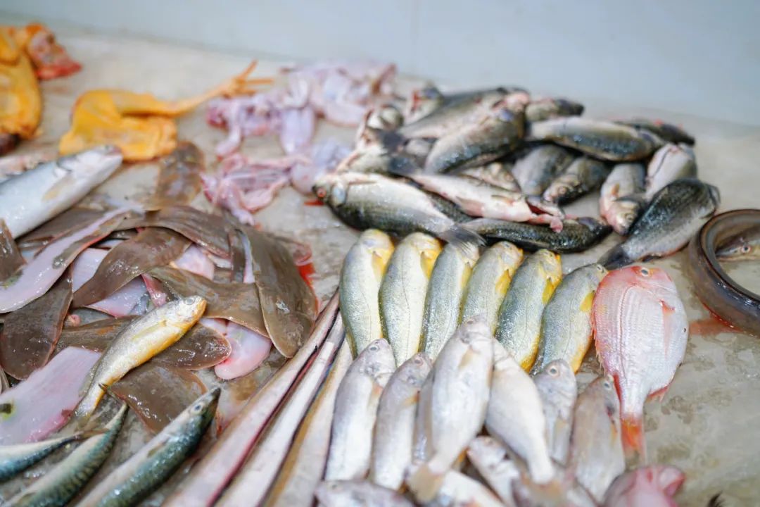 真吃不下了,这个靠海吃海的小县城怎么就能这么好吃