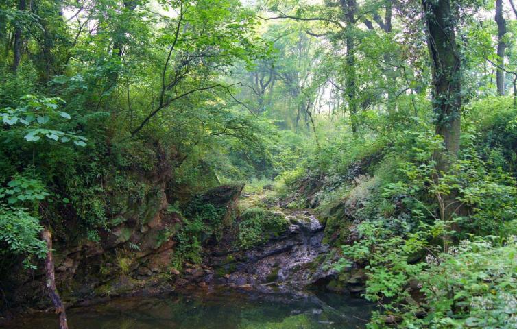 南京周边安徽自驾游,安徽周边自驾游四天左右带娃