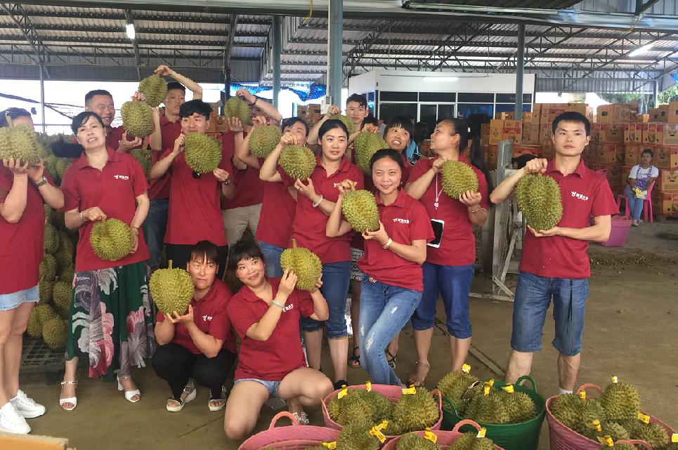 开水果店加盟连锁店,小型水果加盟品牌推荐