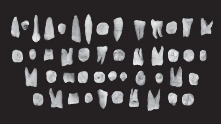 现代人起源之谜：中国考古改写认知，“非洲起源”难圆其说