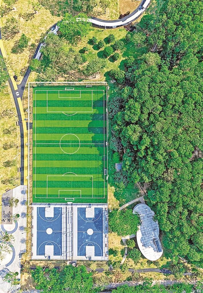 熬夜追着球何不来此踢一场——本期《朋友圈》评点龙华优质足球场