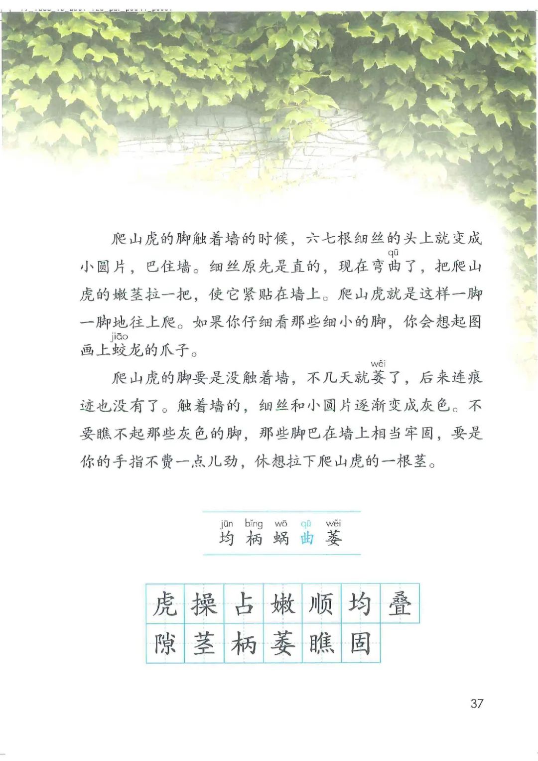 电子课本|人教部编版教材小学语文四年级（上册）课本-暑假预习