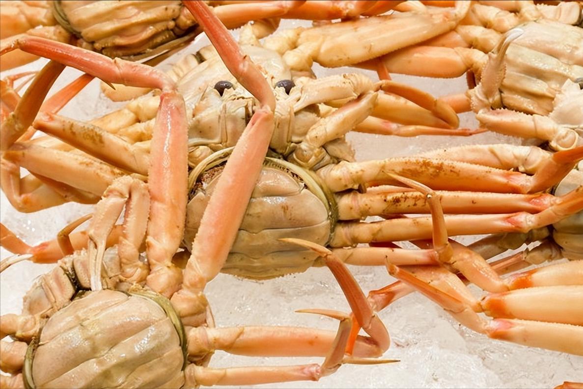 12种常见螃蟹的区别与特点,常吃螃蟹种类区分图解