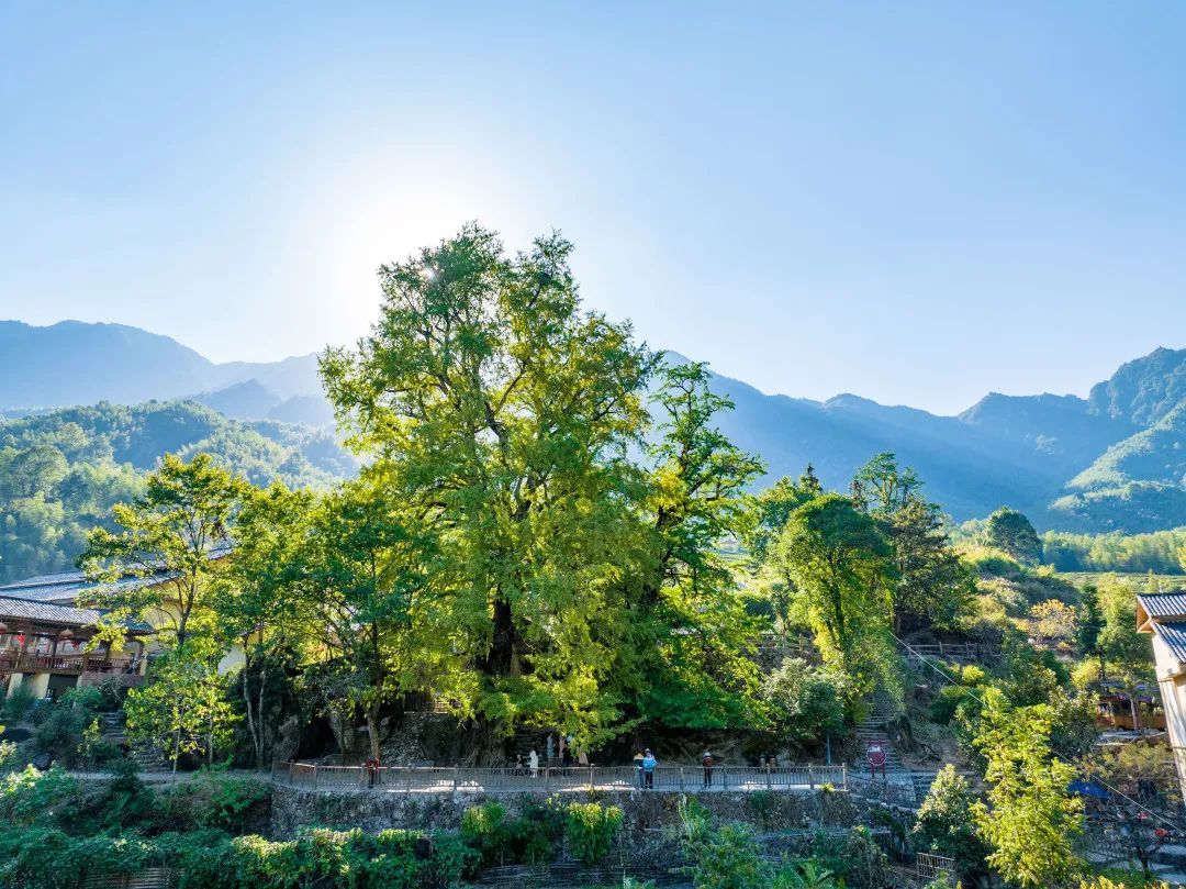 温汤镇住一周攻略,温汤古镇一游