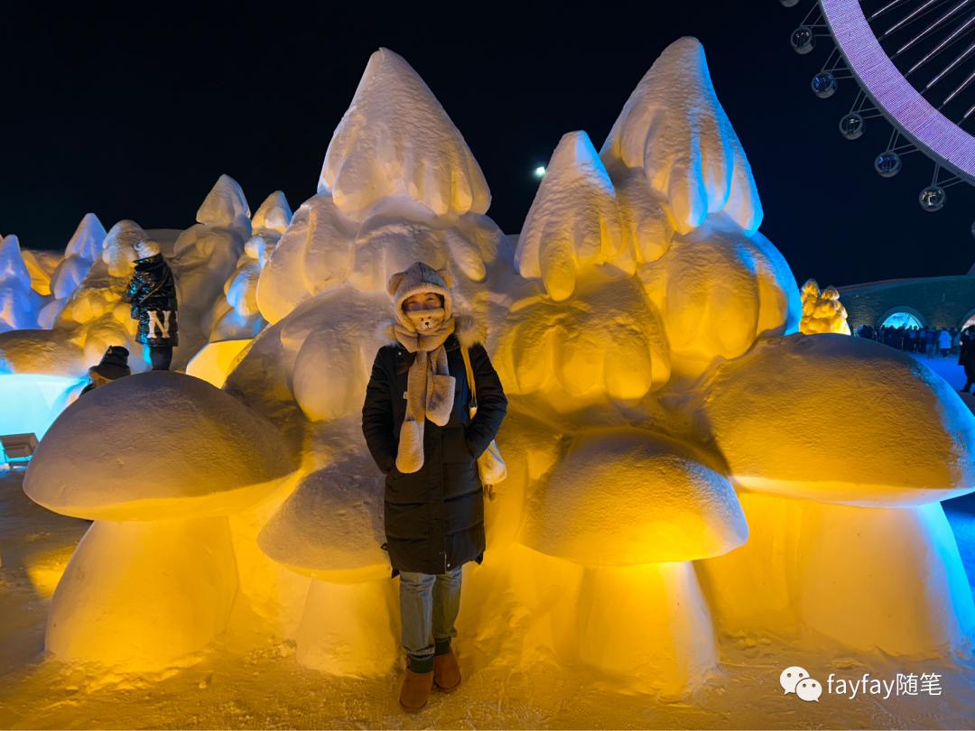 孤独而又绚烂的雪国——冰城哈尔滨的三天两夜