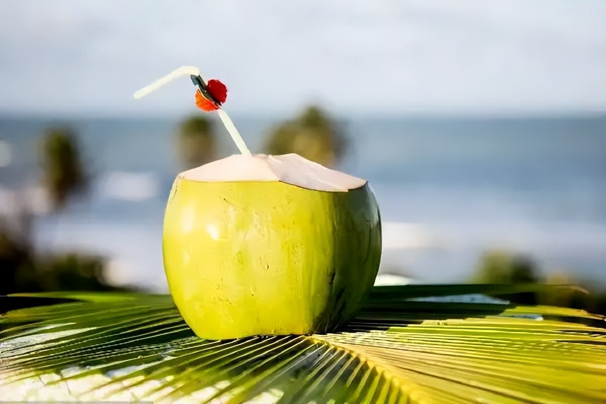 椰子水经销商,为什么现在都营销椰子水