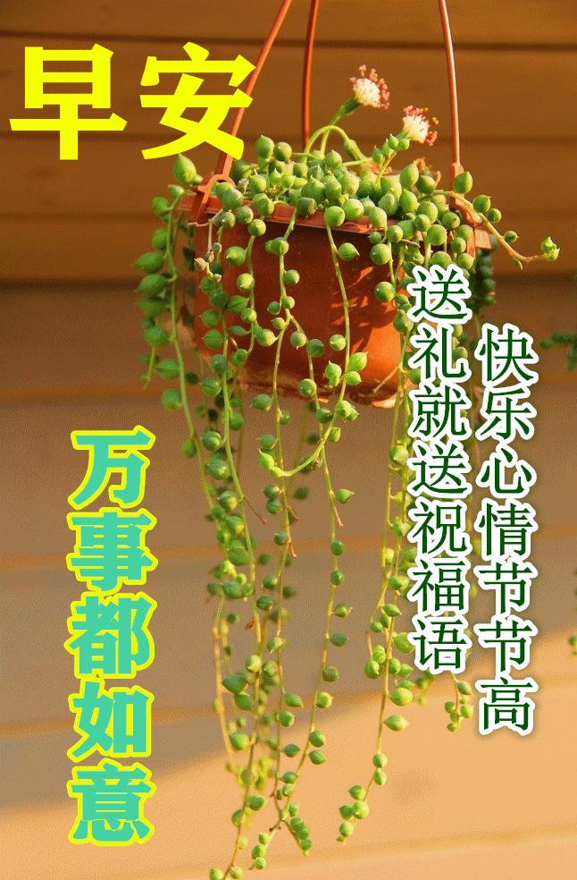 早安的句子跟图片朋友圈正能量,早安正能量的短句子心语图片大全