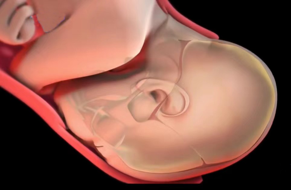 顺产3d动画流程讲解,顺产生孩子母爱伟大