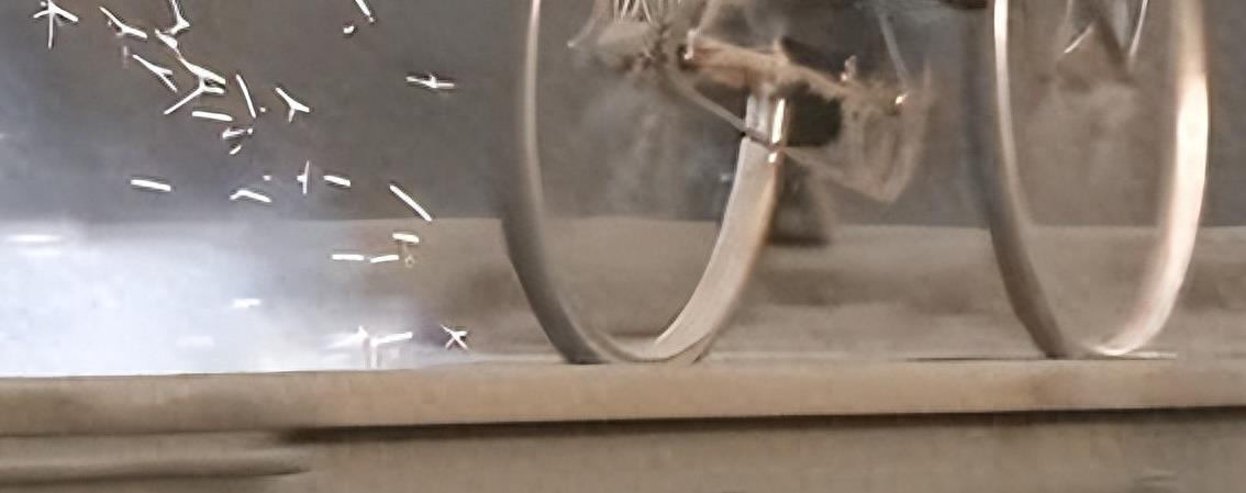 诱惑尼姑装，裤衩子外露，这些毁三观的操作，导演怕是个猪脑子吧