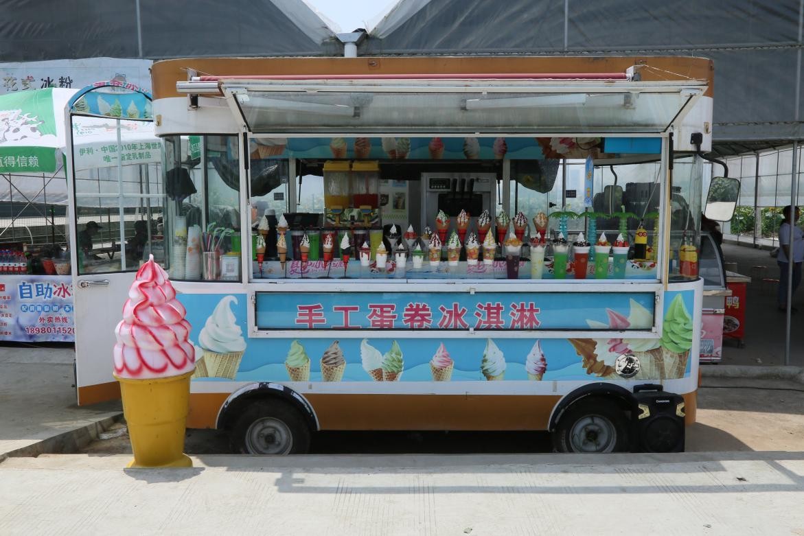 广汉彩色油菜花花海,广汉高坪镇油菜花高清图片