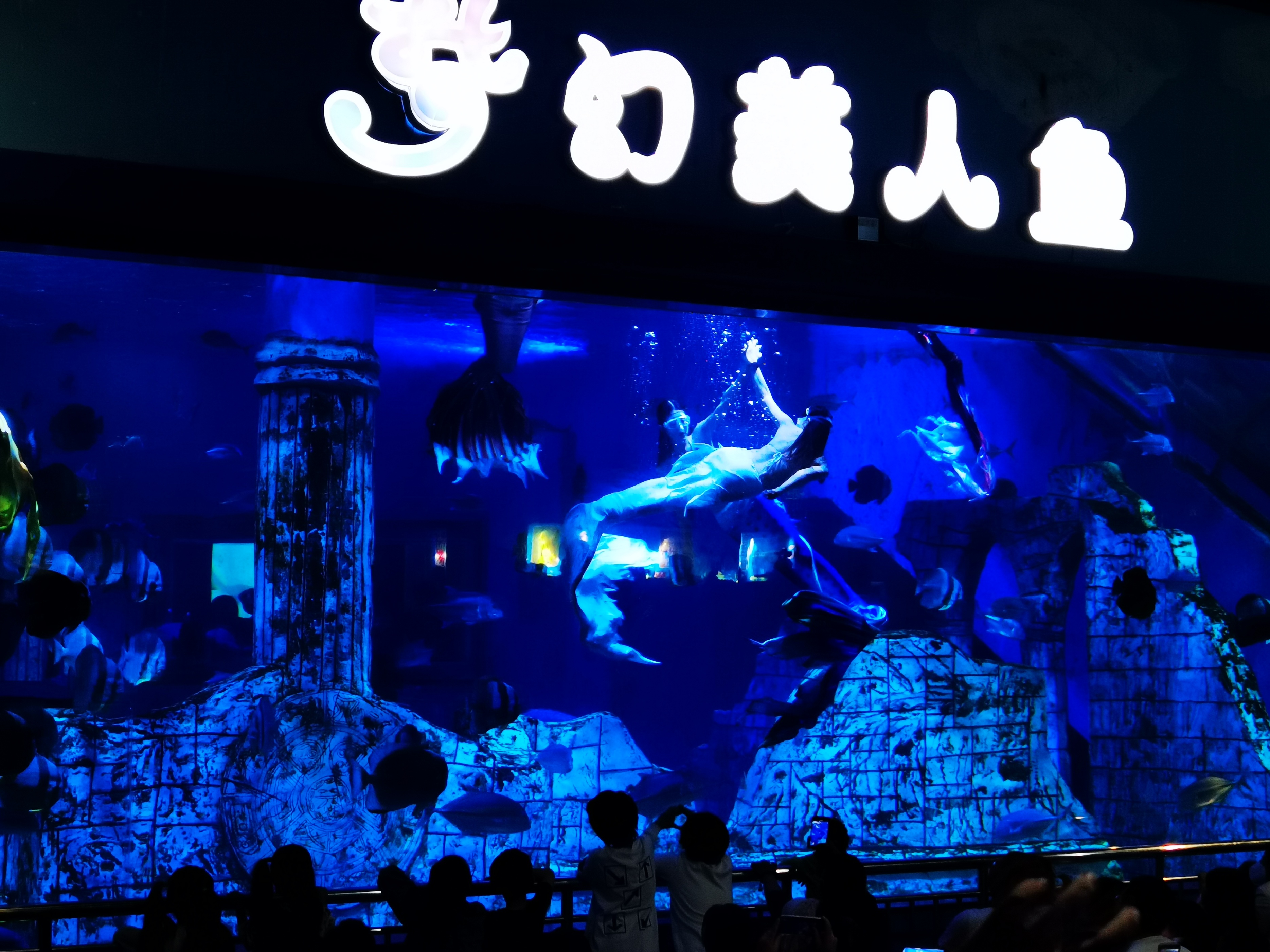 寿光极地海洋游记,五一寿光海洋极地世界