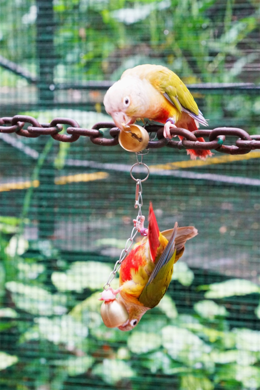 海南东线自驾乡村游攻略,海南原始村落自驾游