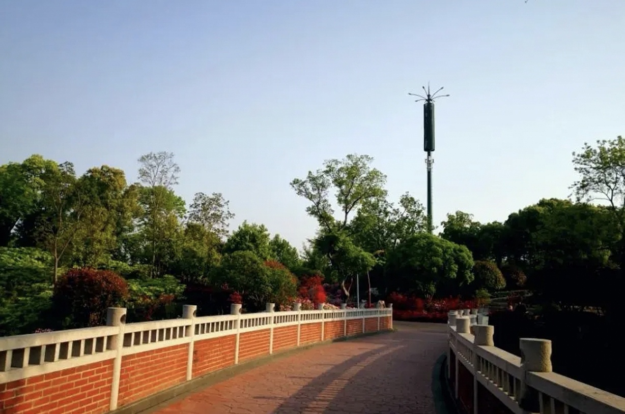 凤凰公园景色美,常州凤凰公园美篇