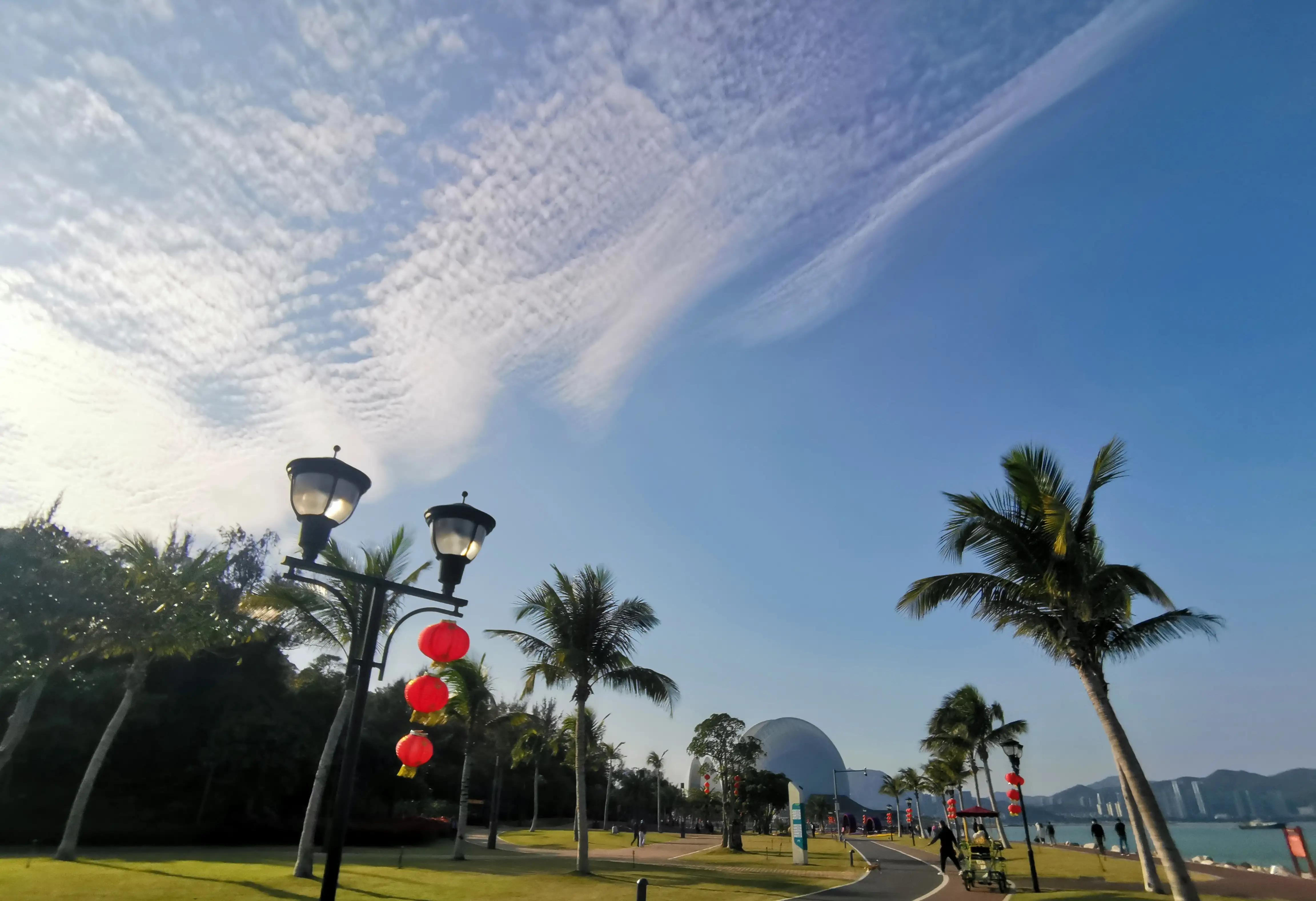 醉爱，珠海那片心海——日月贝