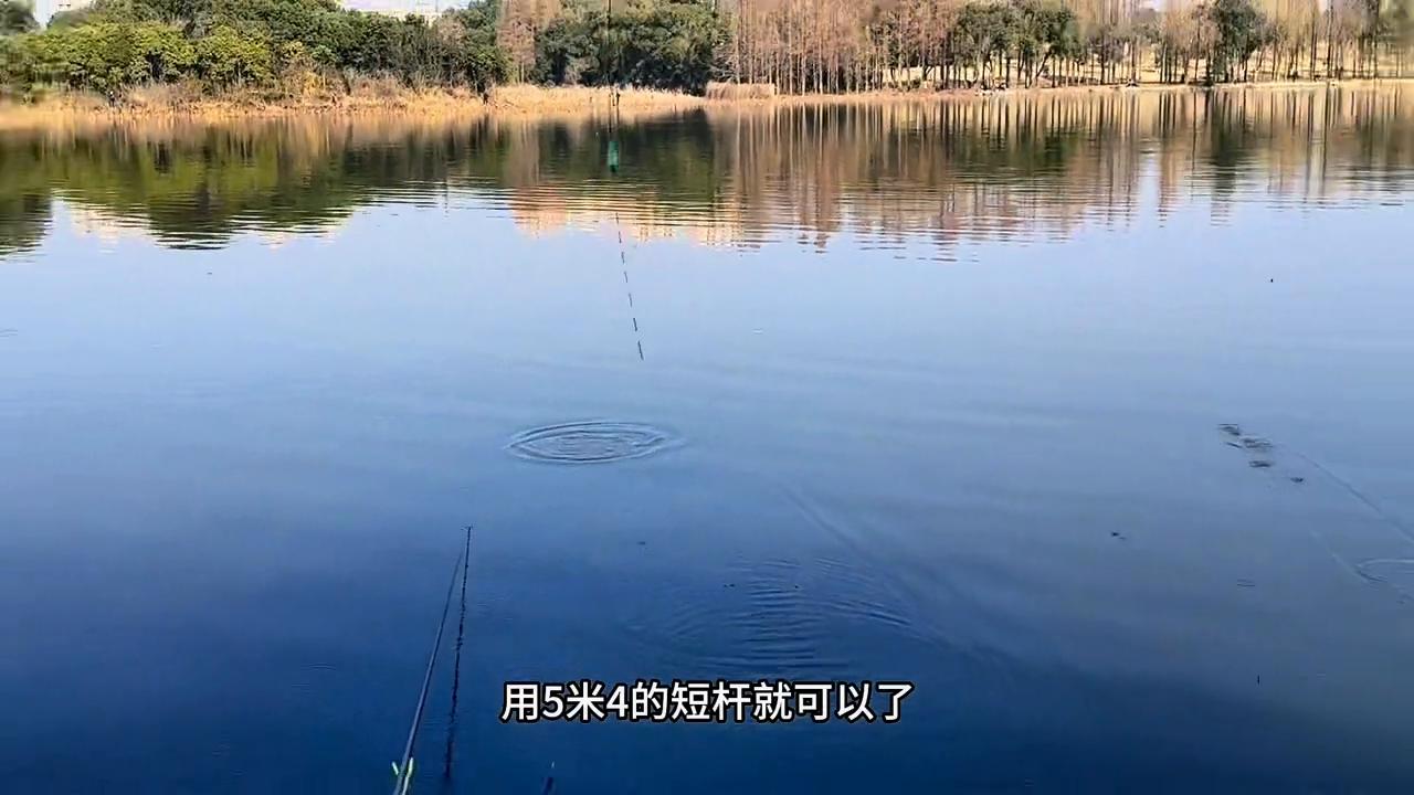 青稍最好钓的时间段,青梢的终极钓法