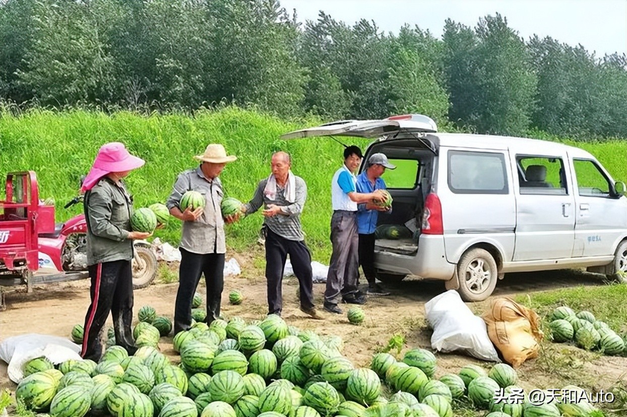 面包车为何从随处可见到一面难求,这种车型有原罪?