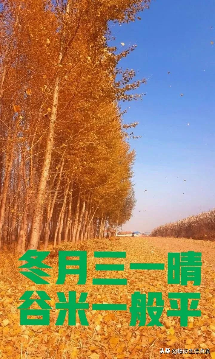 冬月初一下雨是什么预兆,冬月初一下雨天什么预兆