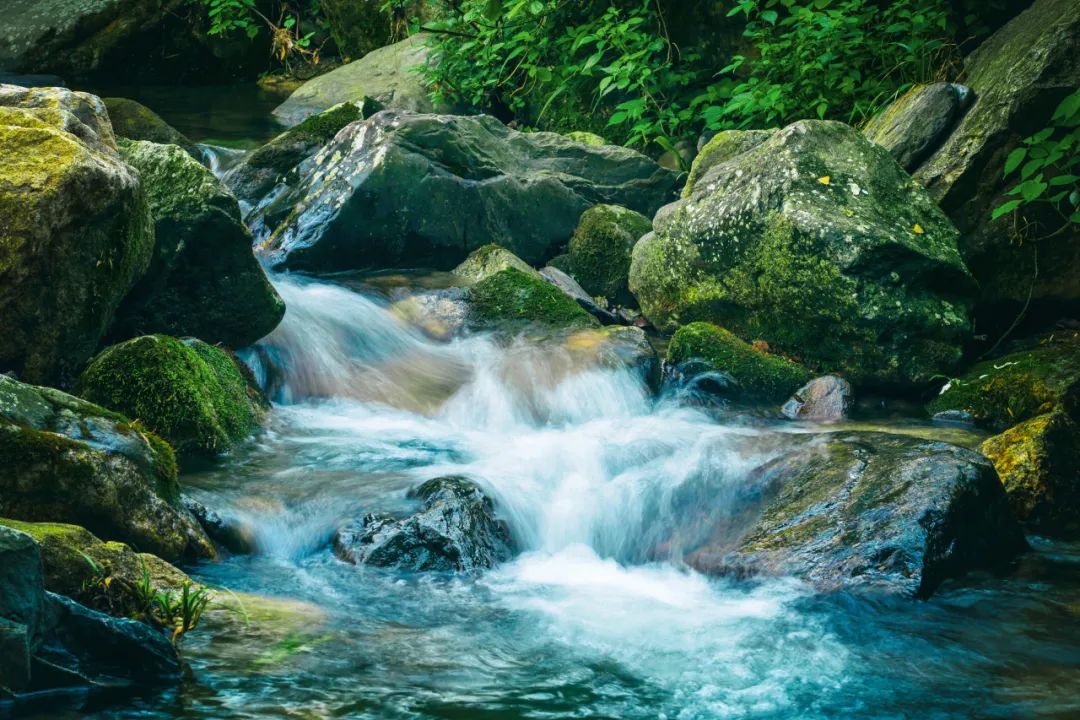 小长假旅游景点大全,夏季周边旅游美食之旅