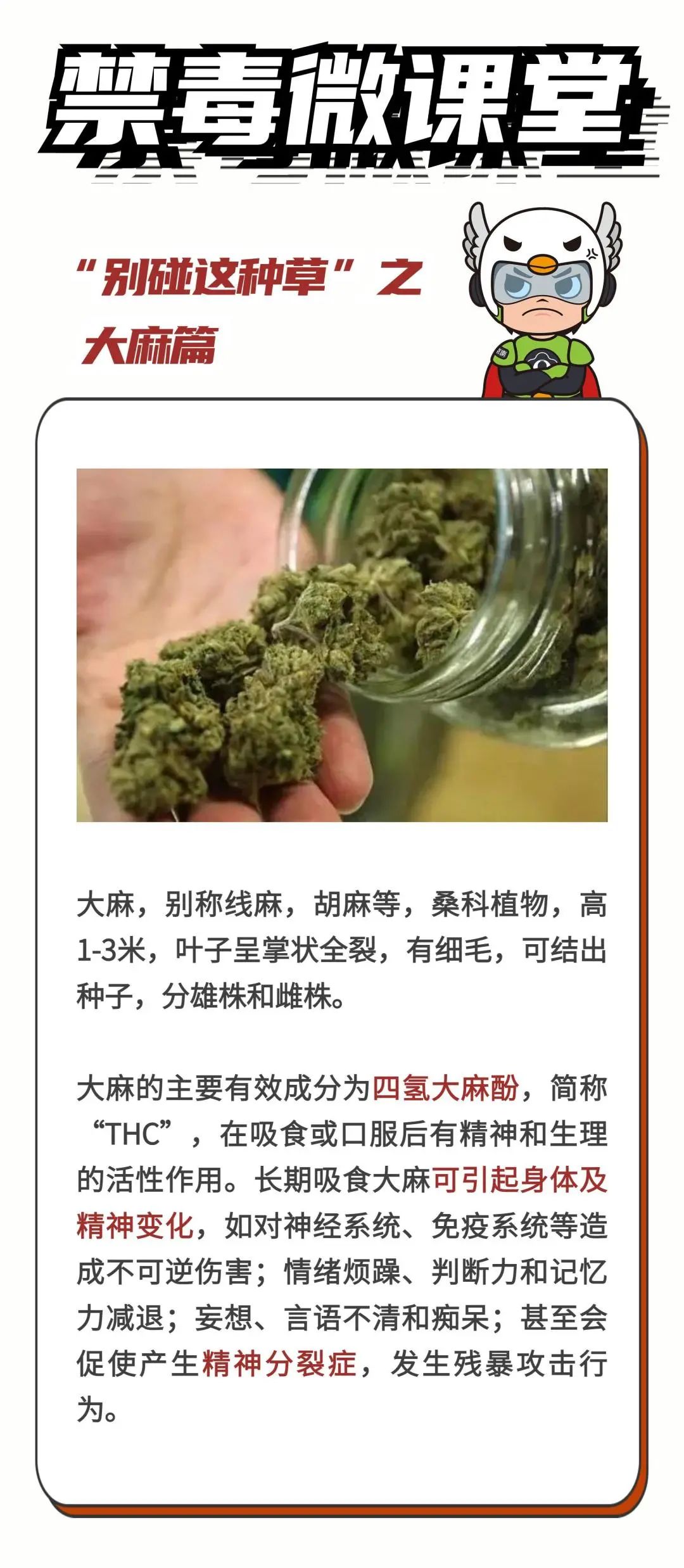 玩男模就会被“嘎腰子”？去泰国旅游，真正要警惕的是..