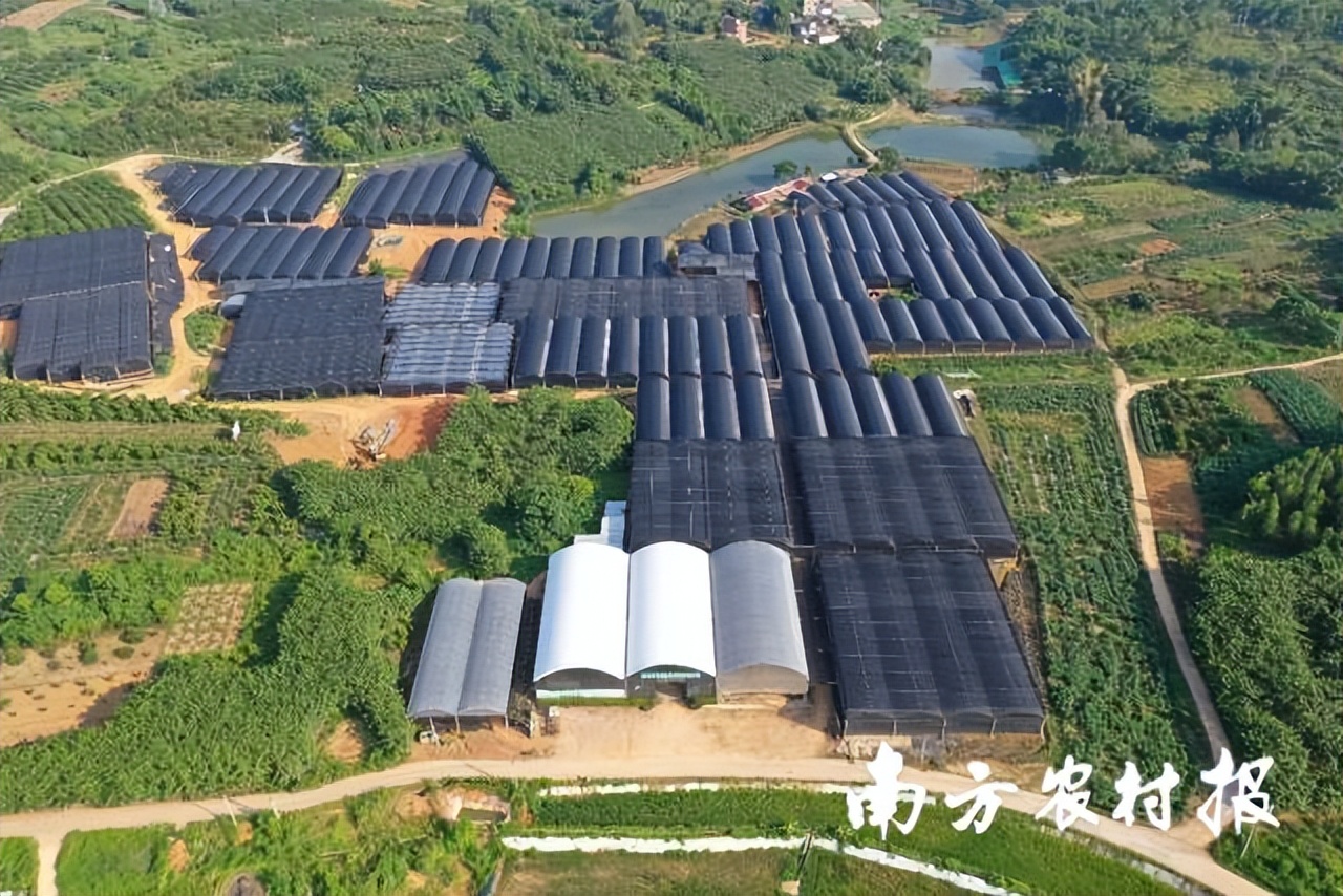 此心安处是吾乡全诗,吾心归处是吾乡议论文