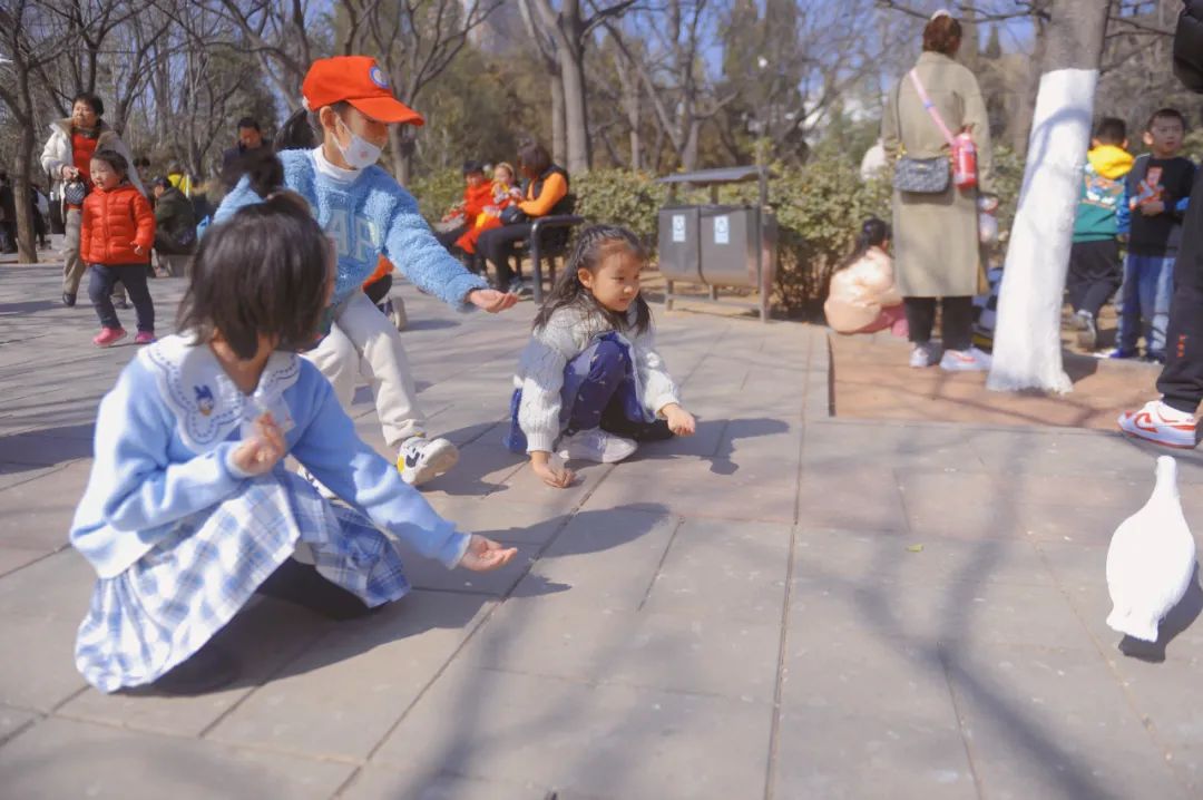 春天的天空是属于风筝的，快收藏济南这些放风筝的好地方！