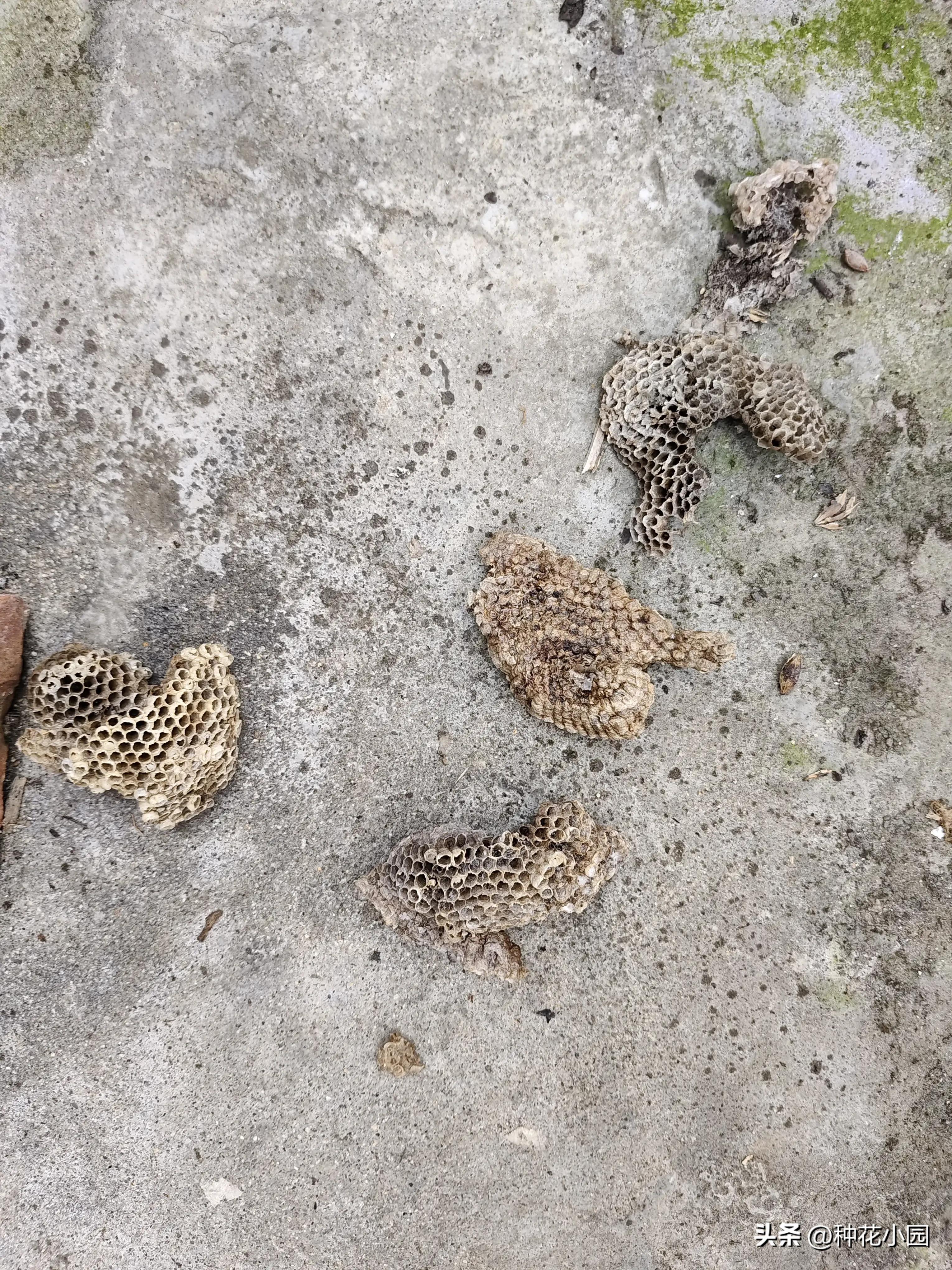 格力柜机空调维修视频教程大全,格力柜机维修案例