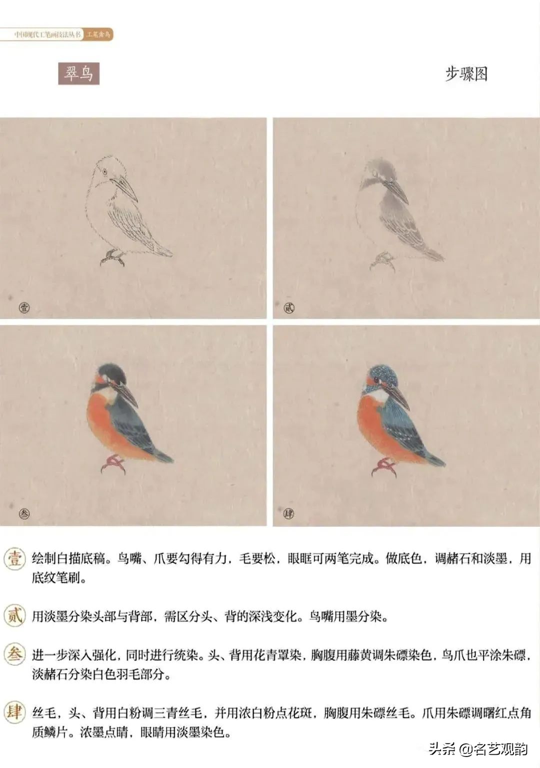 国画禽鸟写意教学视频,工笔禽鸟圆扇图片大全