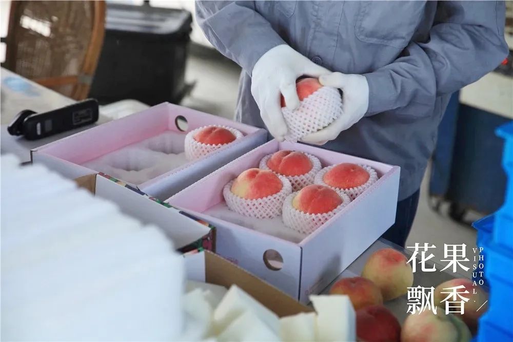 老板,这个水果多少钱?不用,你帮我介绍客户就行了