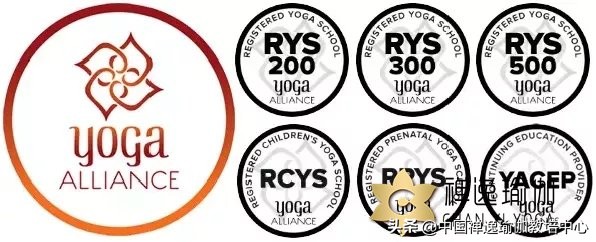 深圳有哪些ryt瑜伽培训基地,全美瑜伽联盟官网入口