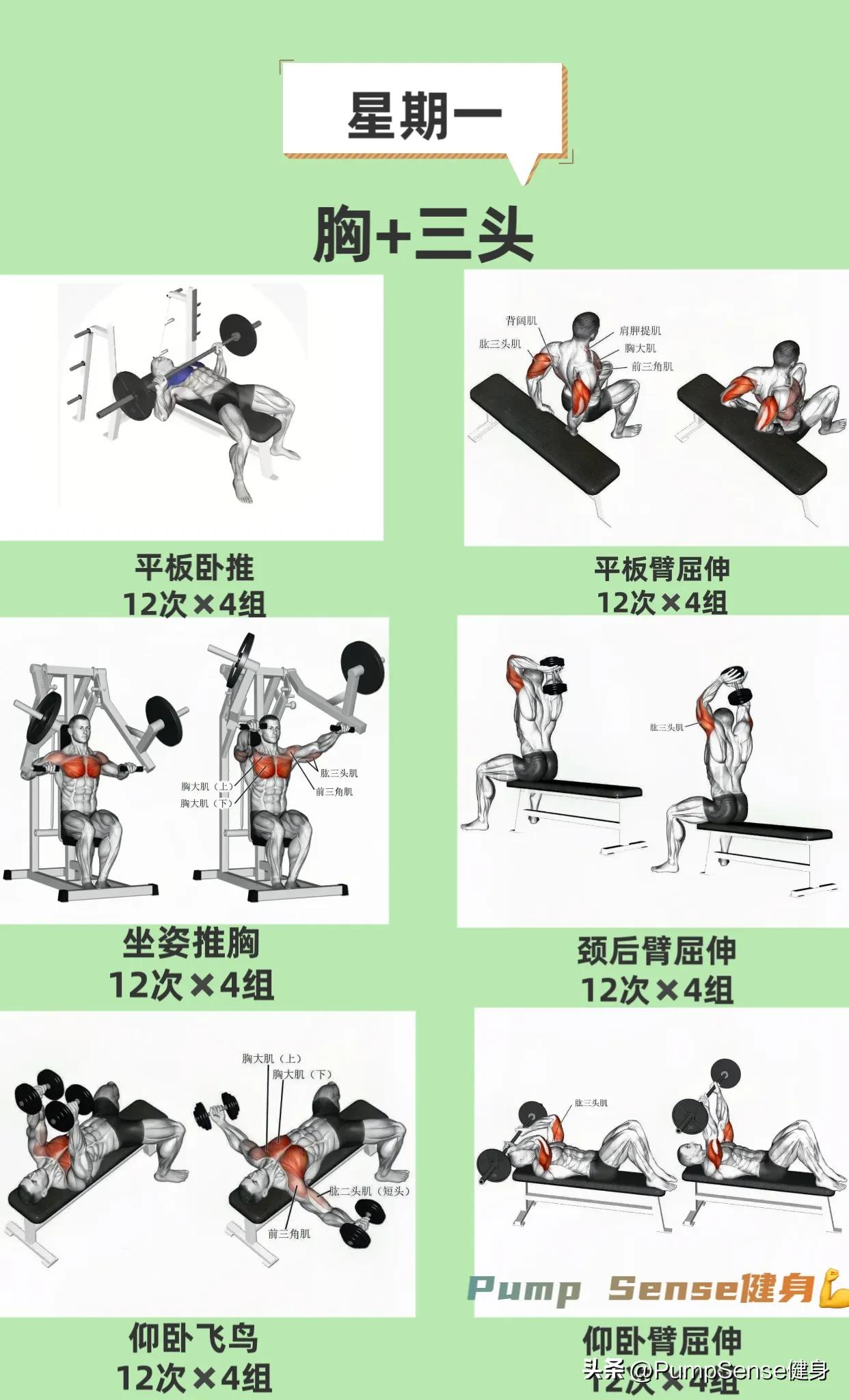 新手健身计划app,新手健身计划怎么写