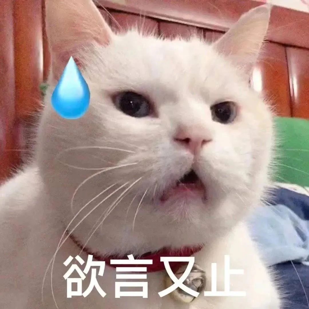 安乐死总体看法,安乐死可以不治疗吗