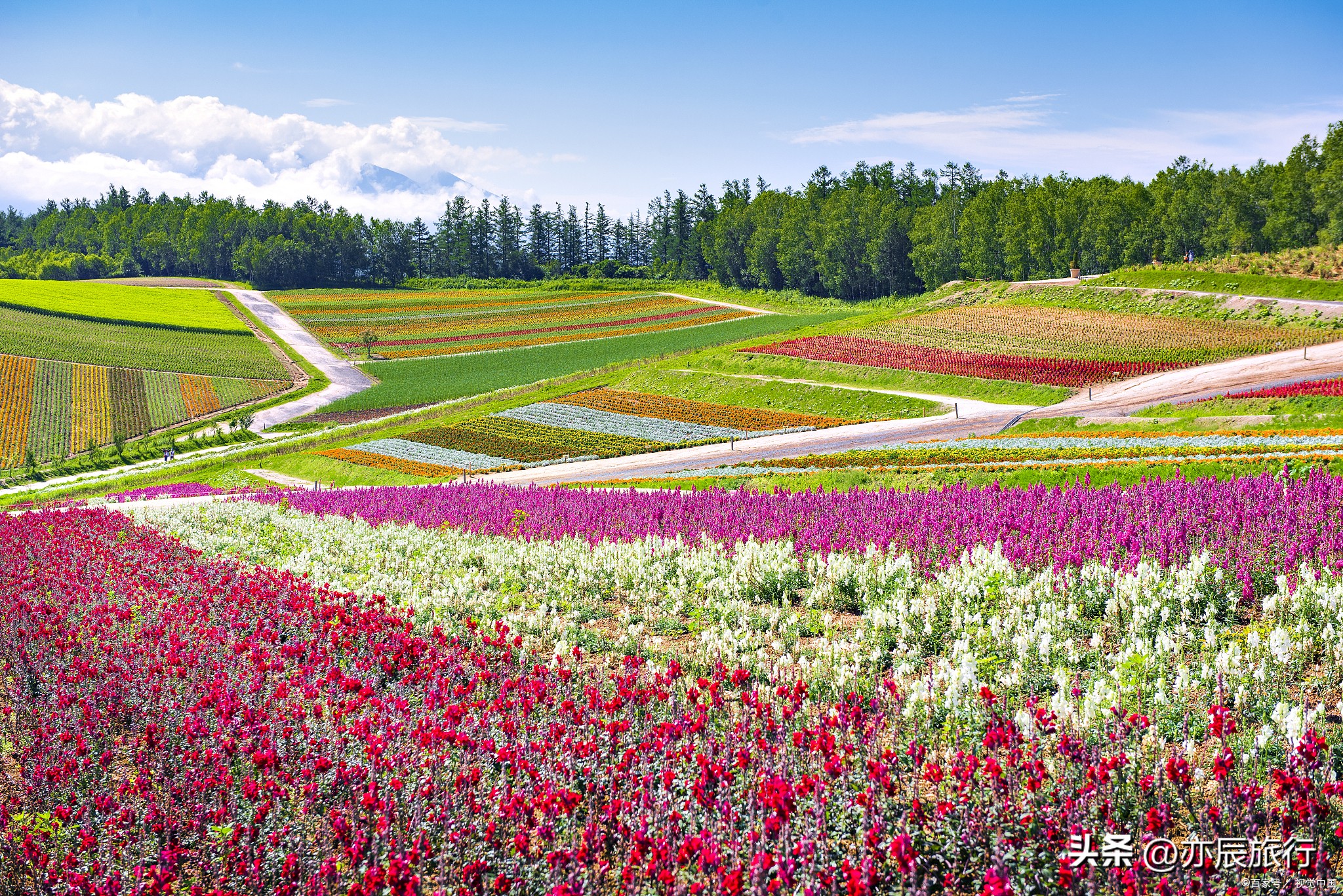 镇江旅游必游景点大全,镇江周边旅游景点有什么