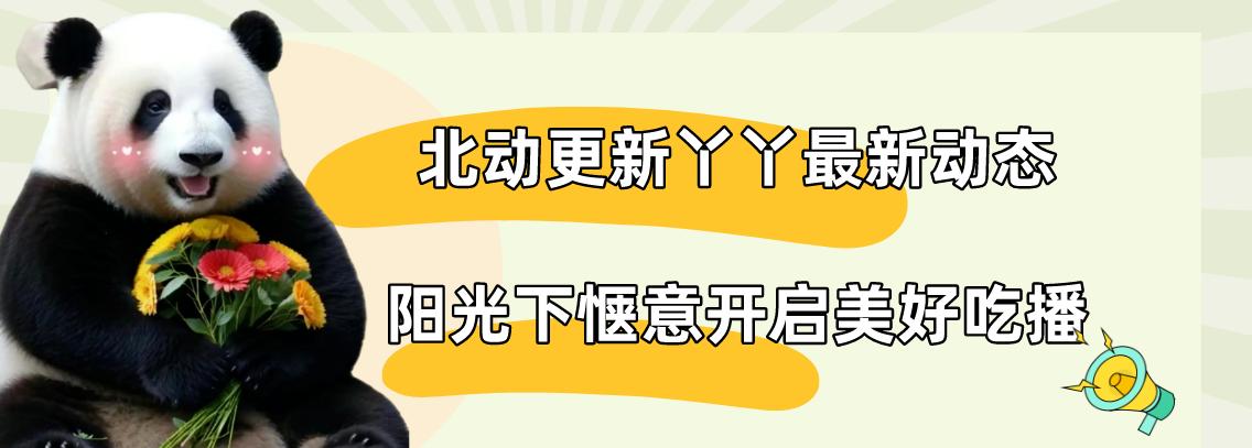 丫丫最新视频曝光，仰头啃笋享受美食，拥有萌兰同款铁秋千太幸福