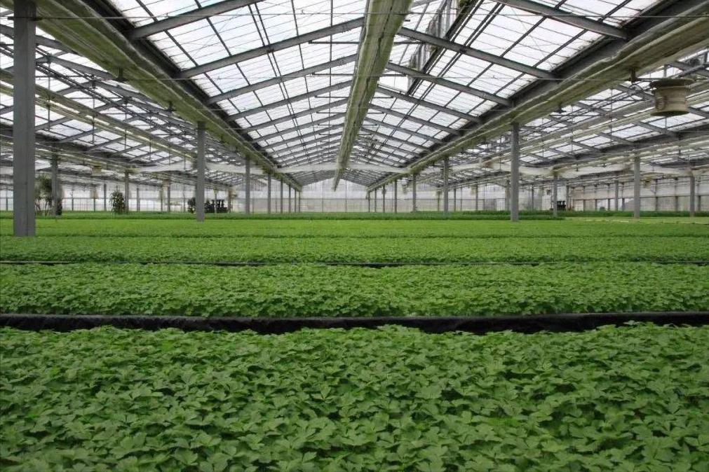 智慧农业自动化灌溉方案,物联网智慧农业灌溉系统功能设计