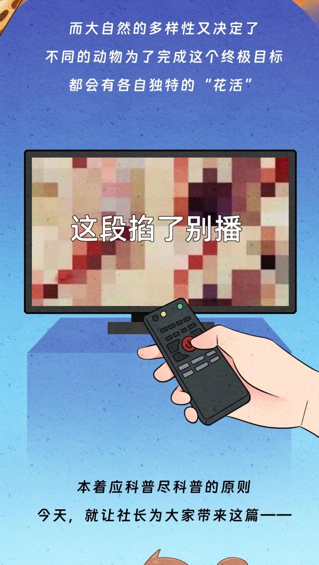 动物交配行为鉴赏，真的触碰到了我的知识盲区（漫画）