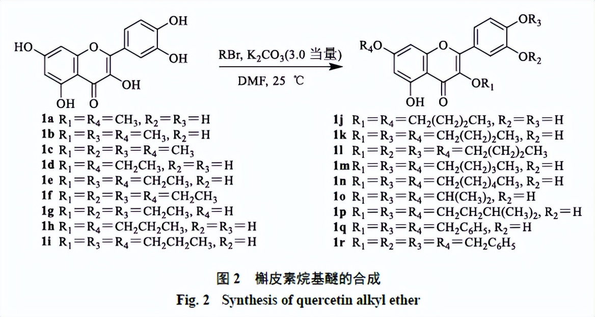 槲皮素的氧化机理,槲皮素的有关药物活性成分